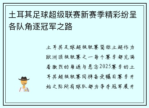 土耳其足球超级联赛新赛季精彩纷呈各队角逐冠军之路